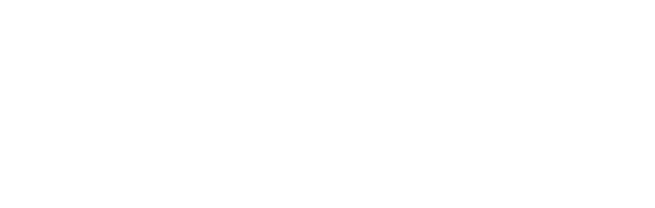 THE BIG MOUNTAIN